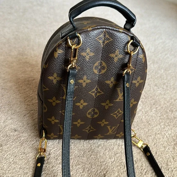 AUTHENTIC Louis Vuitton Palm Springs Mini - Picture 7 of 15